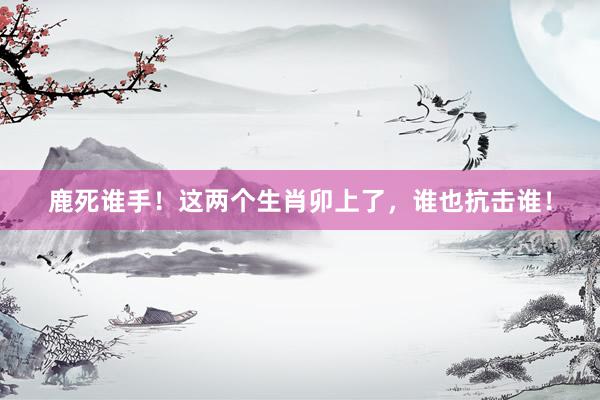 鹿死谁手！这两个生肖卯上了，谁也抗击谁！
